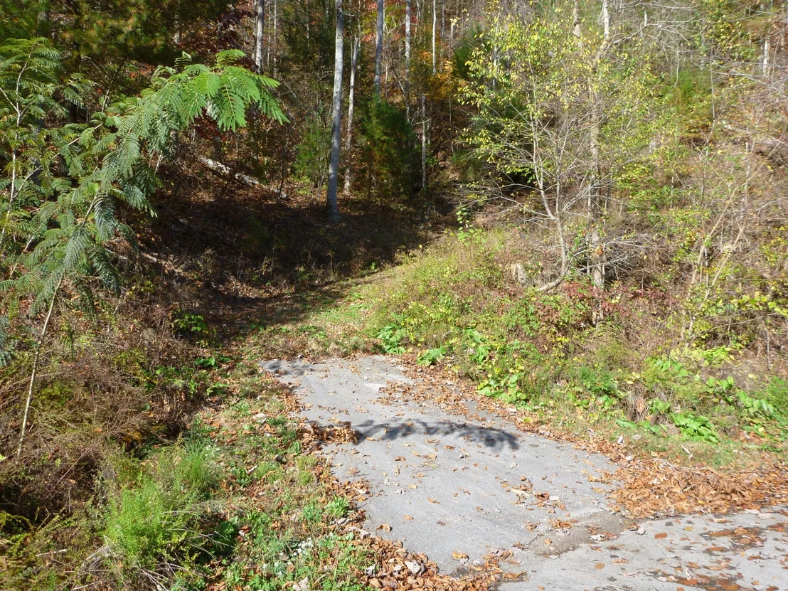 Photo of 145 Anatole Pass
