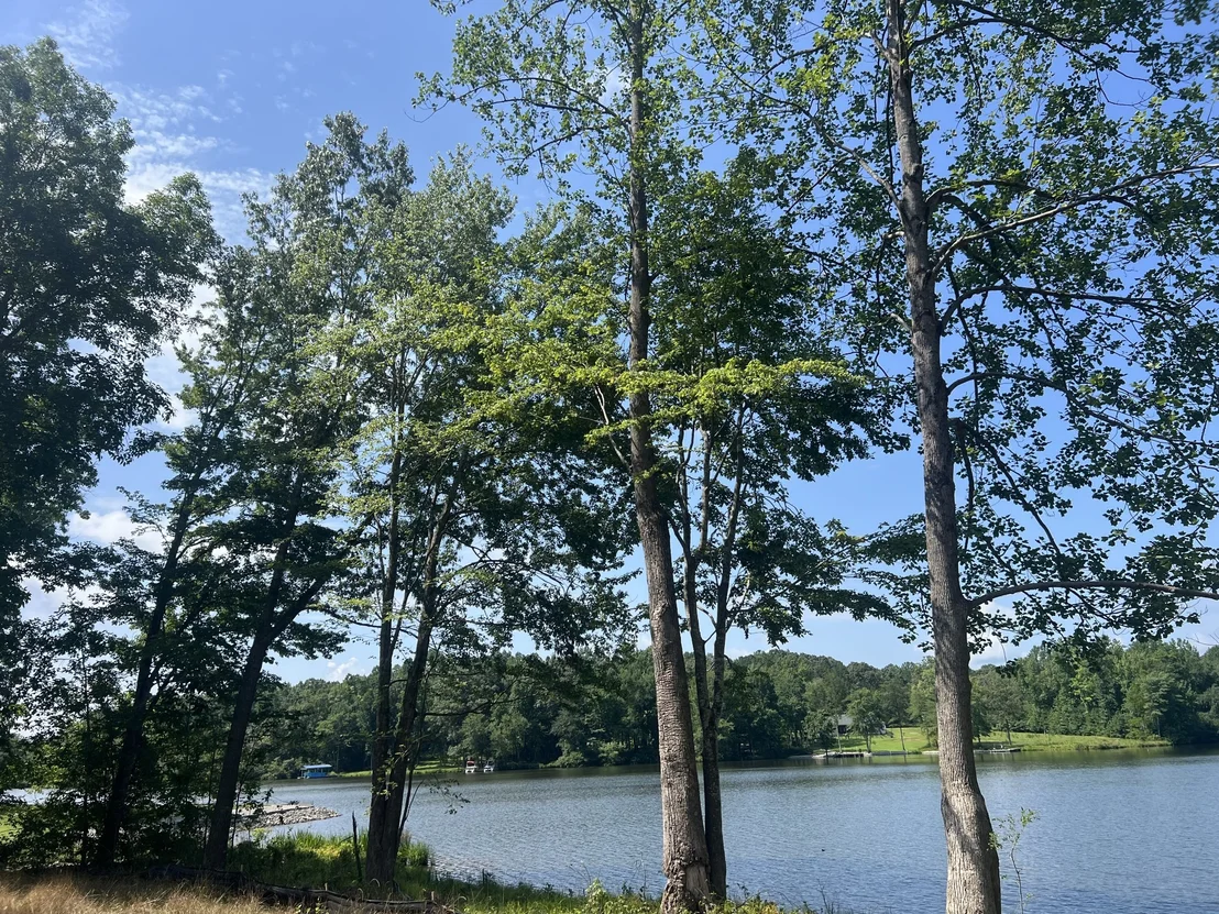 Photo of 33 Arrowhead Pt