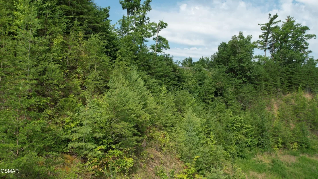 Photo of 3150 Cherokee Valley Drive