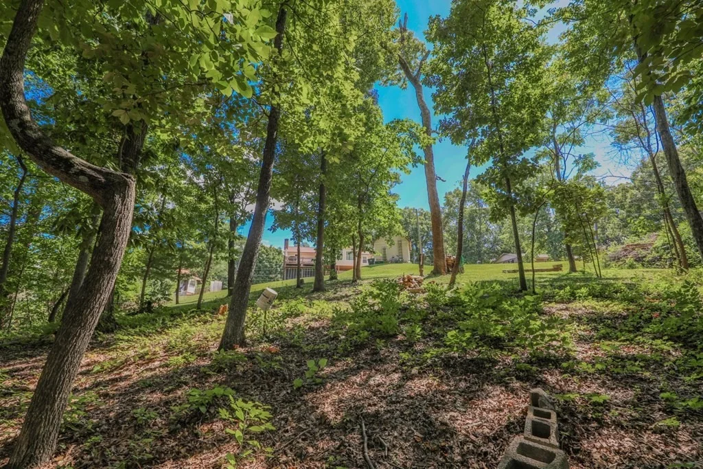 Photo of 6152 Silver Fox Trail