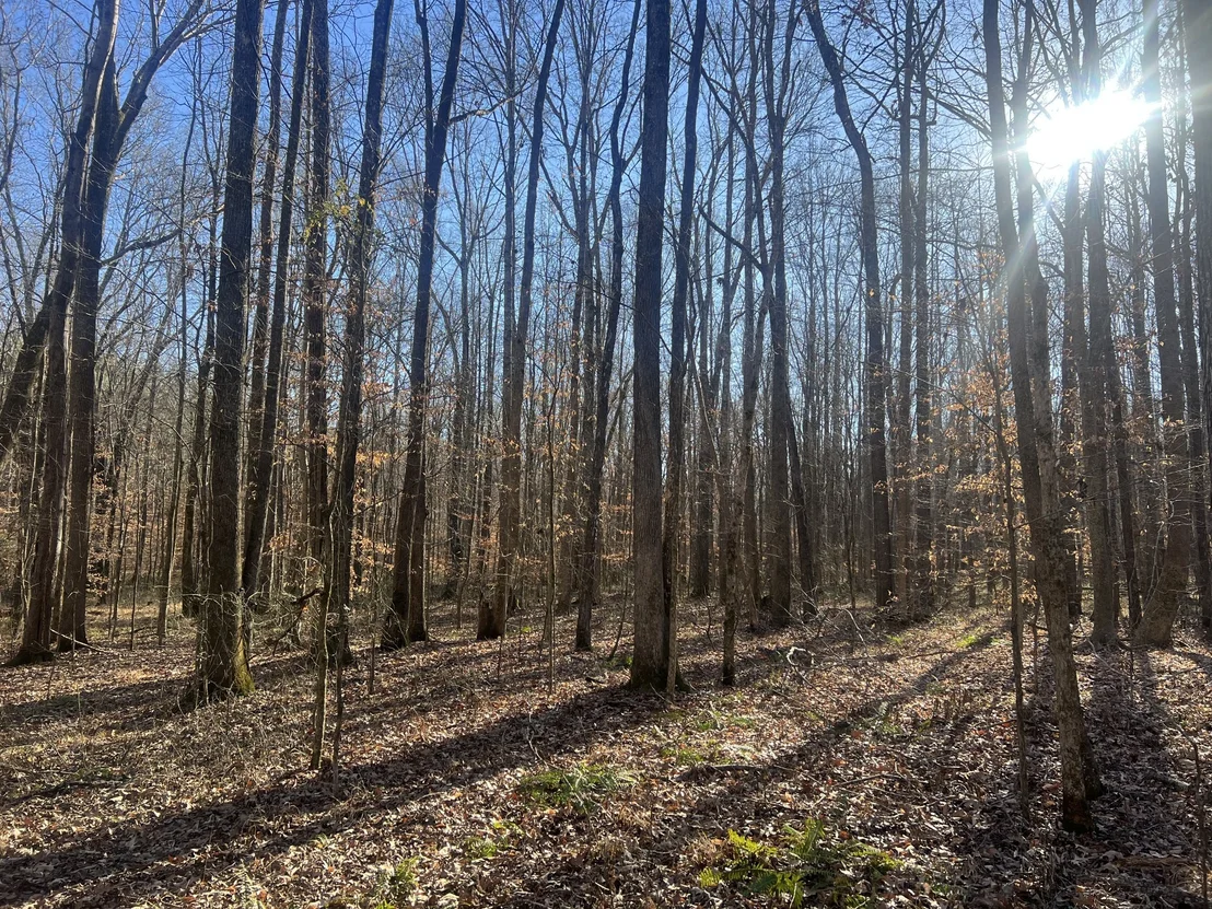 Photo of 0 Excalibur Trail