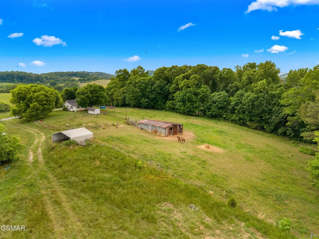 Photo of 485 Longmire Road