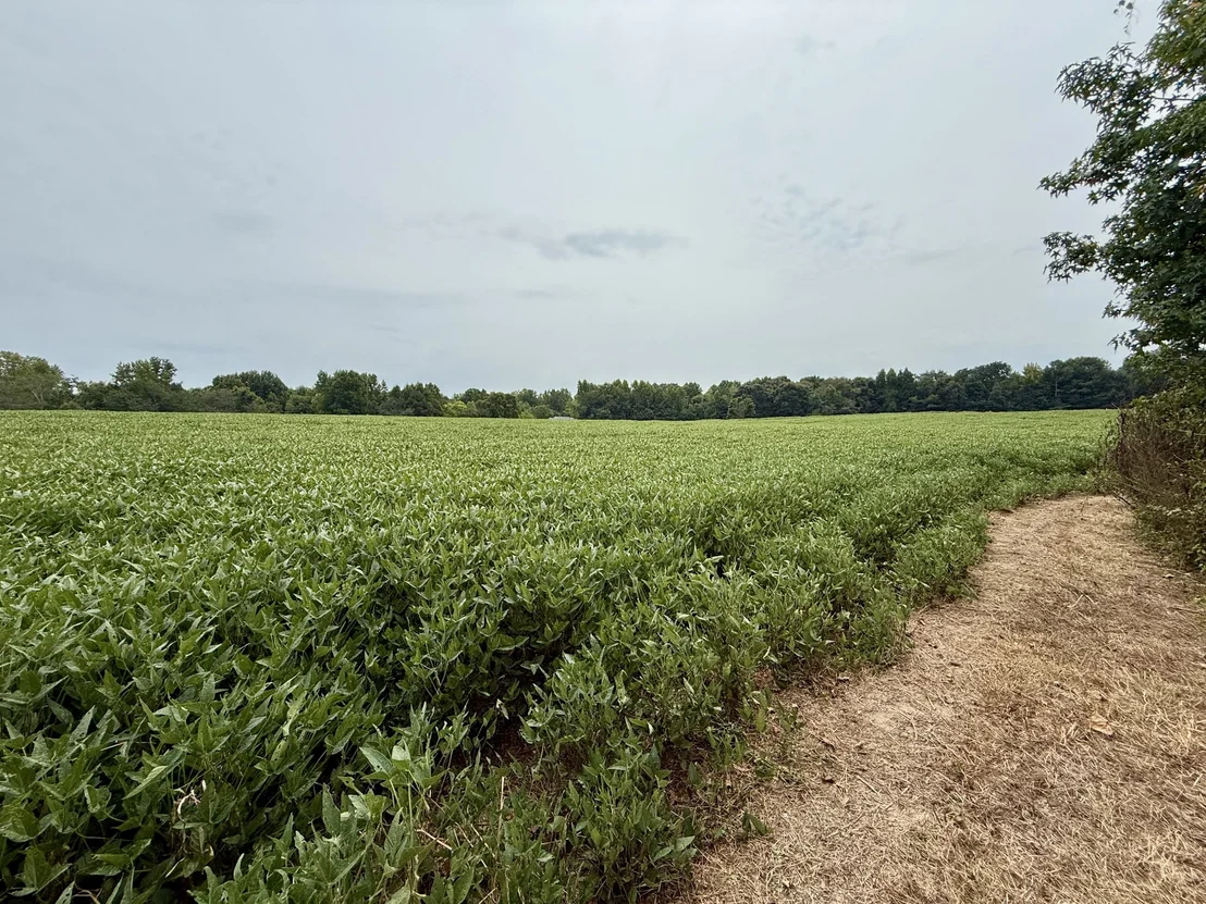 Photo of 0 Compton Road
