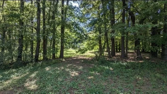 Photo of 237 Hugh Hunter Rd