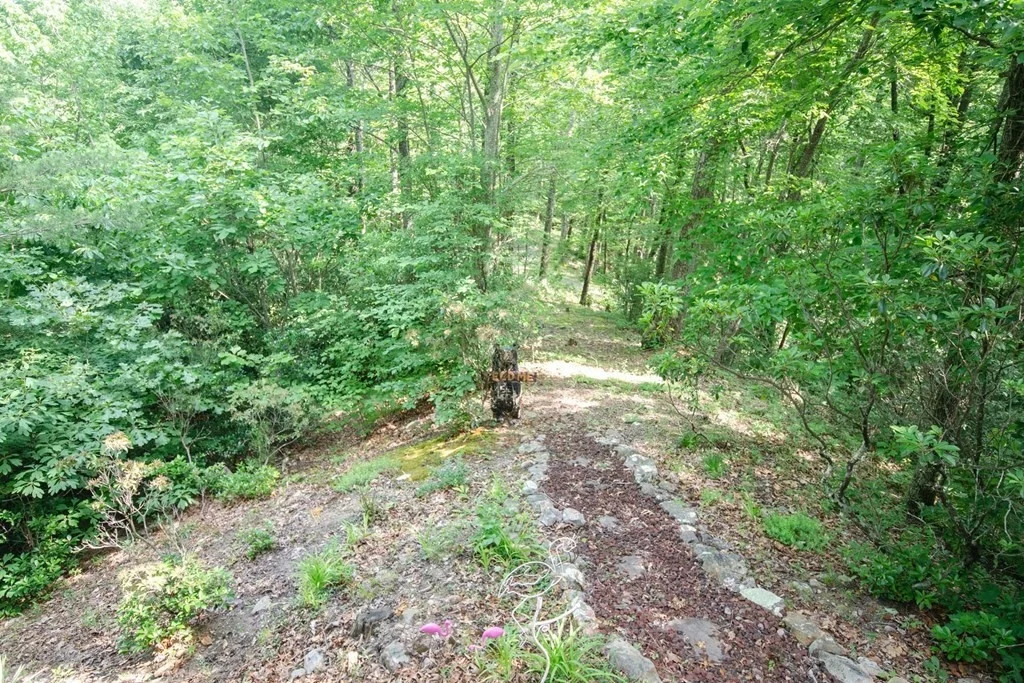 Photo of 1105 Alpine Drive