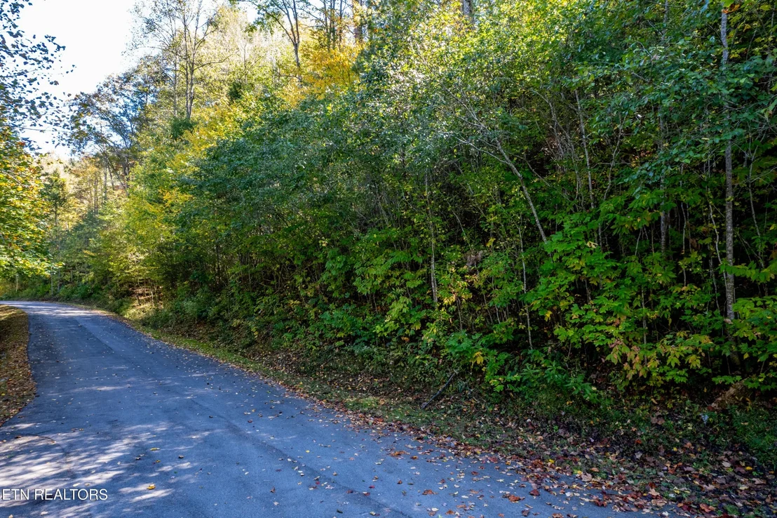 Photo of 716 Tanasi Trail