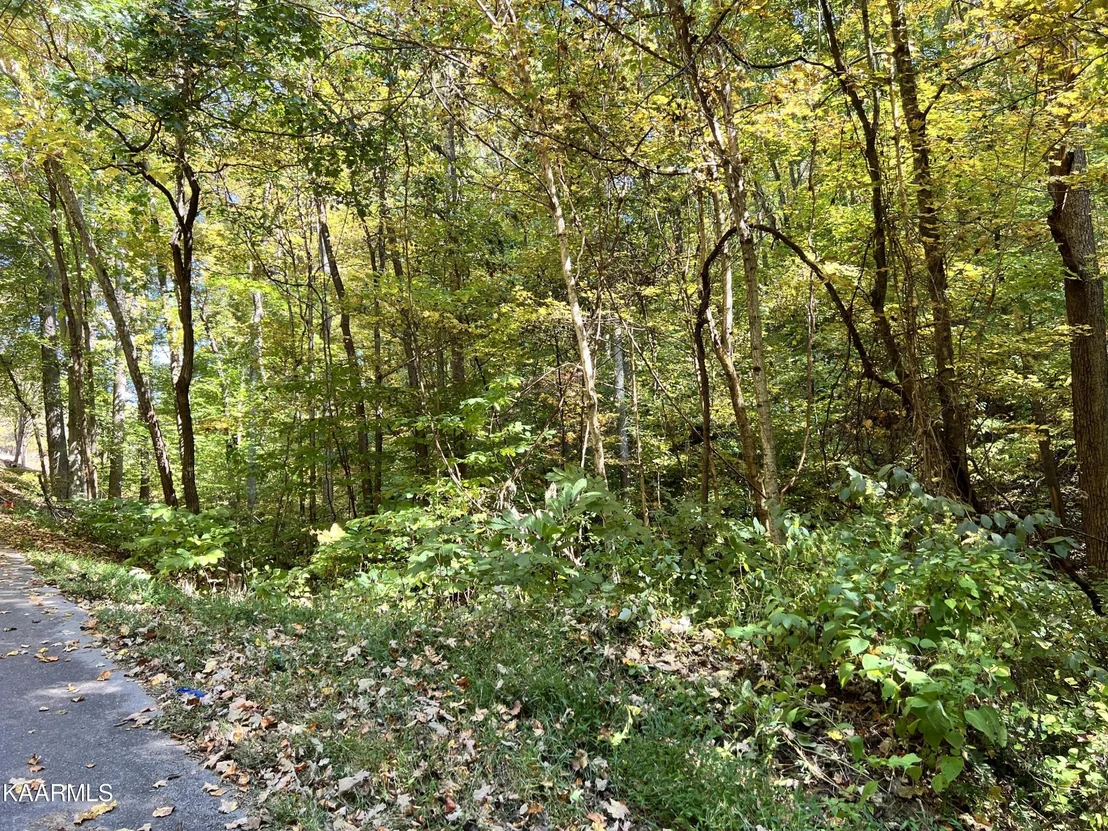 Photo of 1875 Dyer Hollow Rd