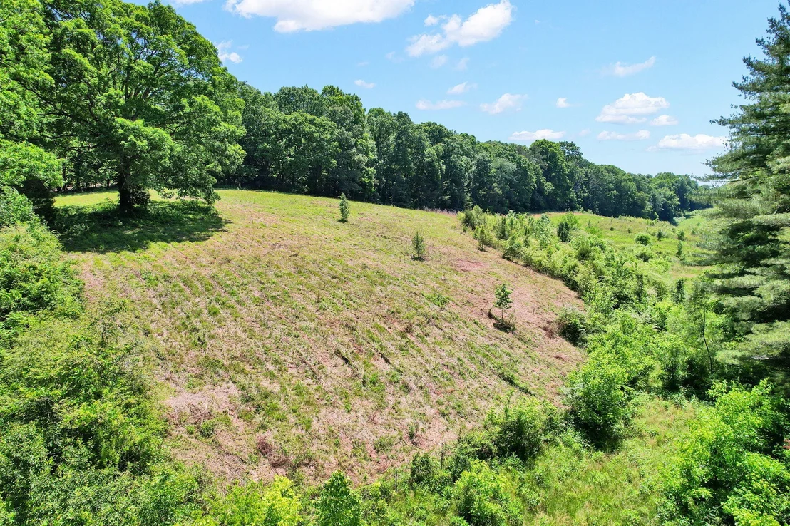 Photo of 309 County Road 197