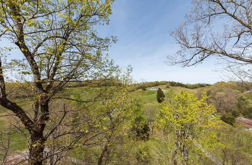 Photo of 3026 Falling Leaf Way