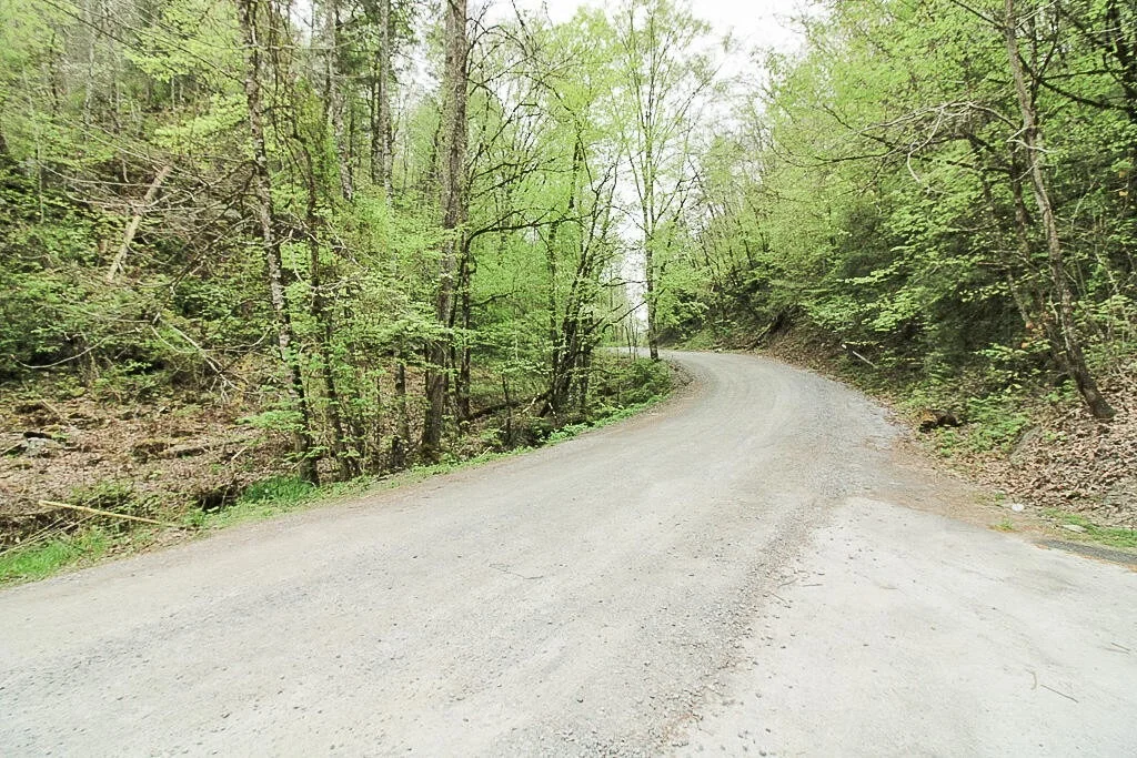 Photo of 2002 Hidden Hollow Way