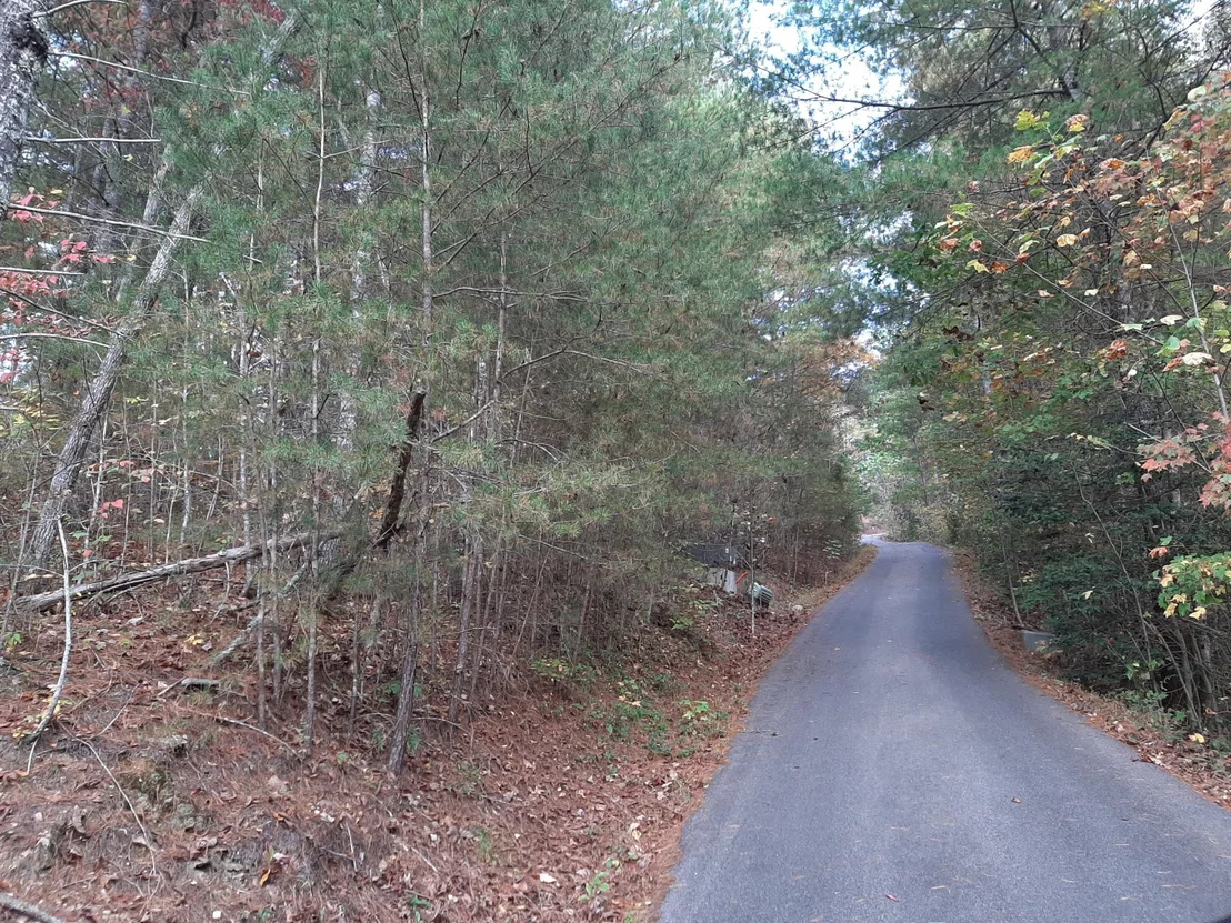 Photo of 115 Le Conte View Lane