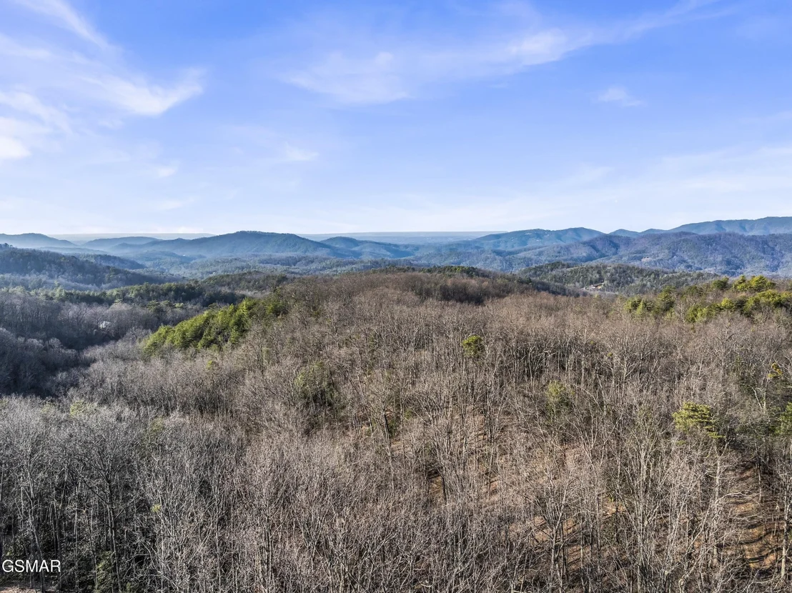 Photo of 3519 Forest Trails Drive