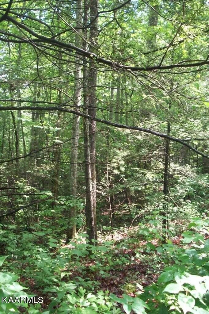 Photo of 491 Chetola Trail