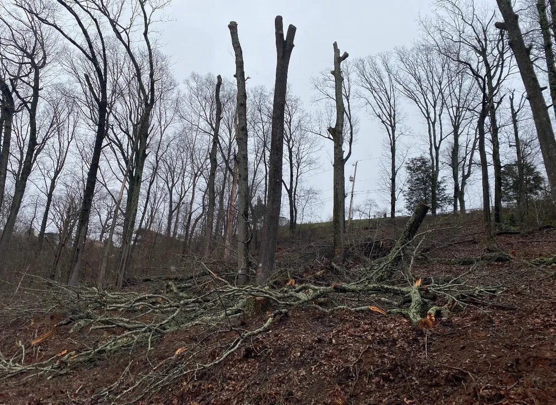 Photo of 38 Clift Trail