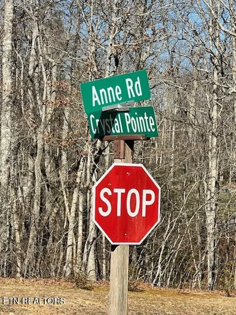 Photo of 41 Crystal Point
