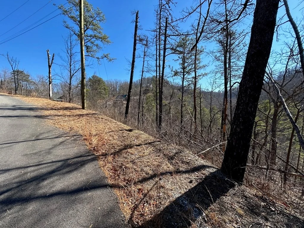 Photo of 3304 Sugar Maple Loop Road
