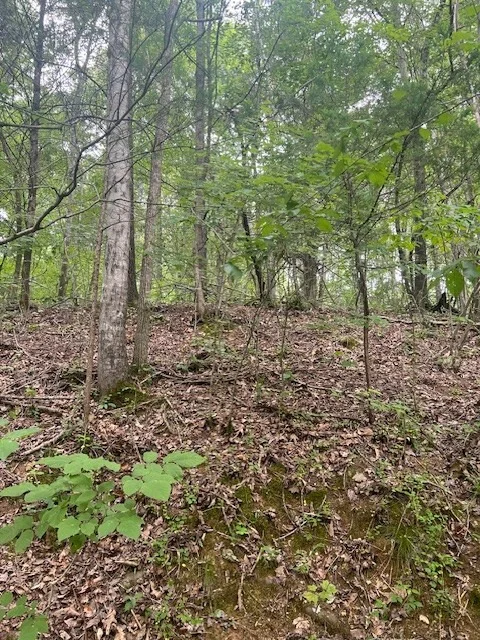 Photo of 290 Moore Hollow Rd