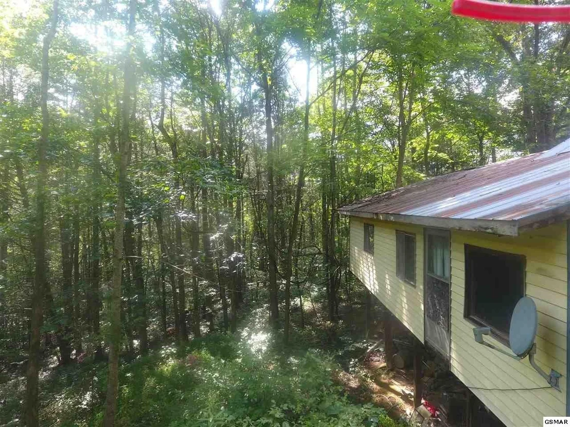 Photo of 3695 Shady Springs Way