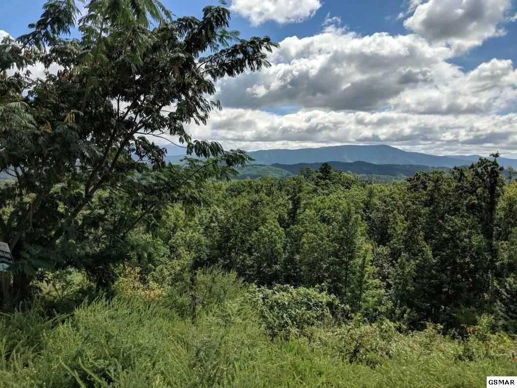 Photo of 3240 Laurel Cove Trail