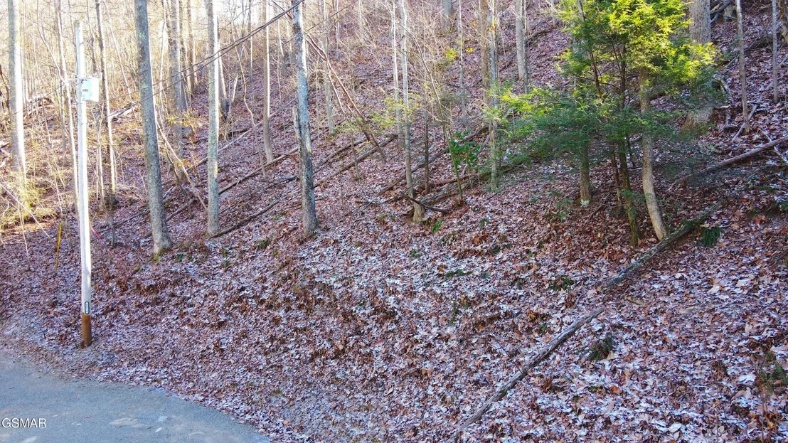 Photo of 1872 Orchard Drive