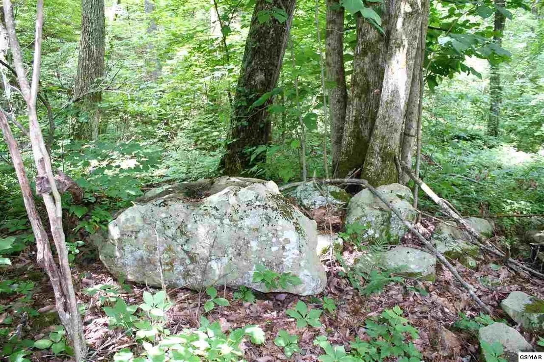 Photo of 0 Off Collier Loop