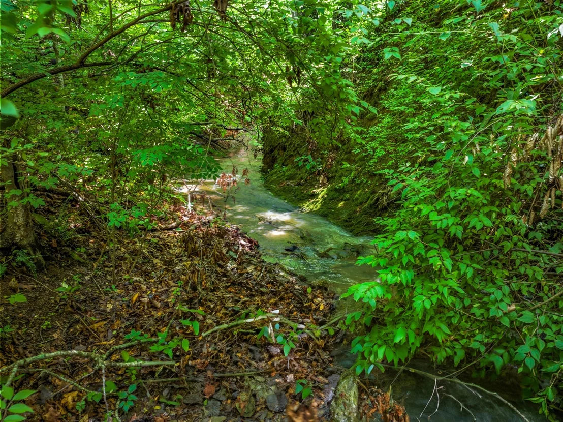 Photo of 314 Riverdale Drive