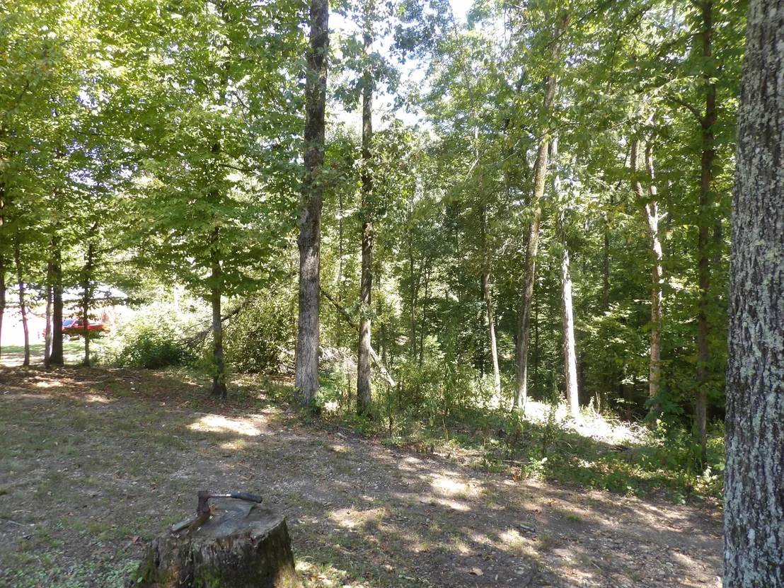 Photo of 2719 McKenzie Rd