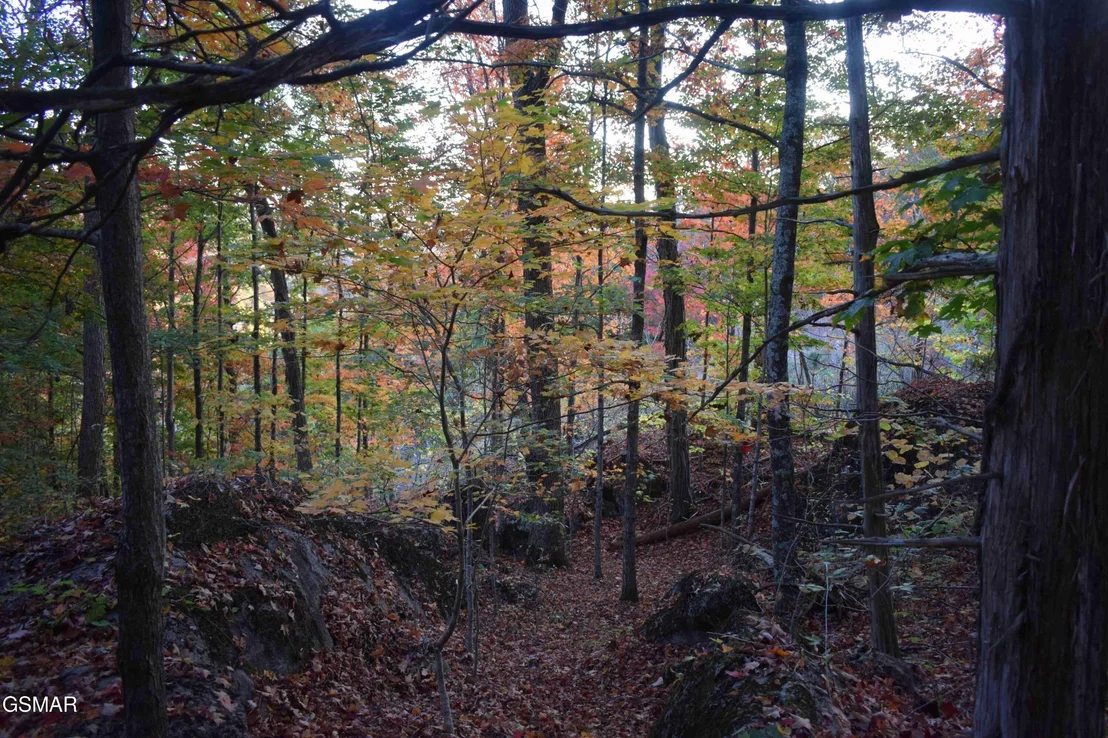 Photo of 1820 Babbs Mill Road