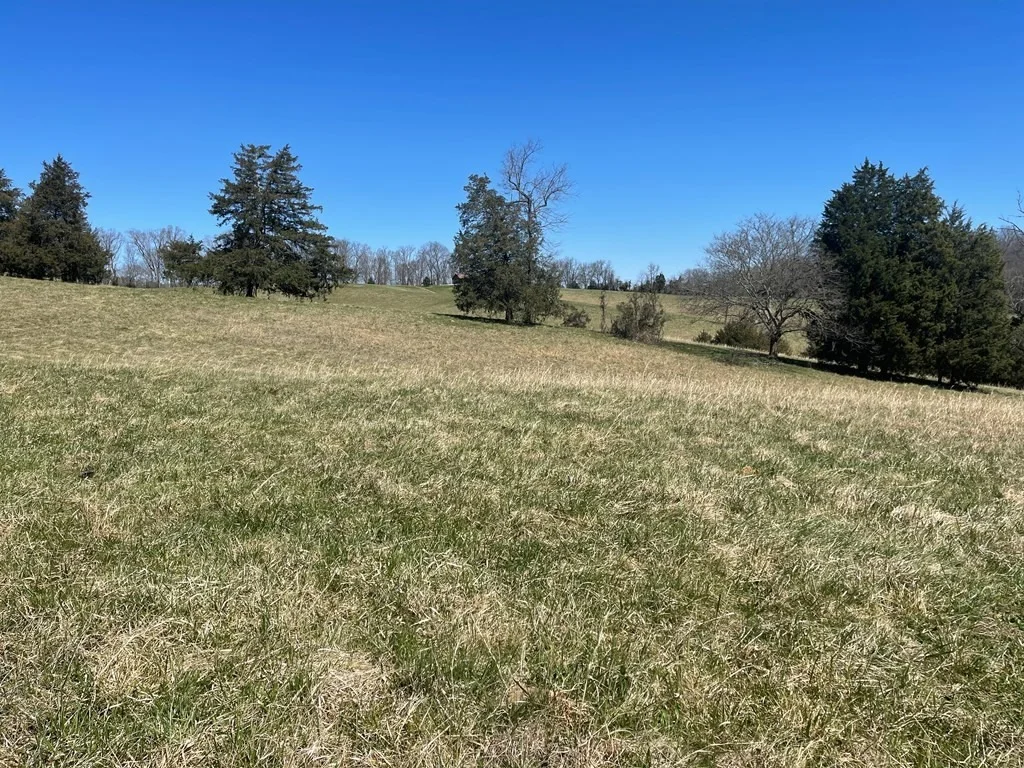 Photo of 1522 Jayell