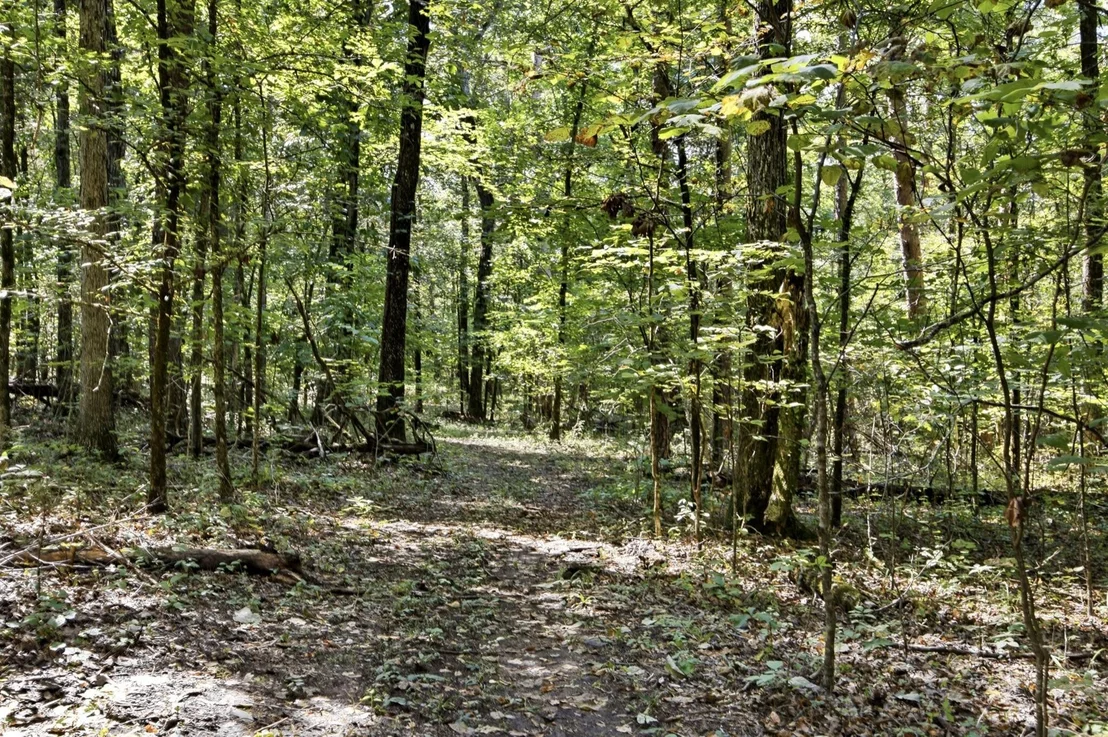 Photo of 965 Lofton Lane