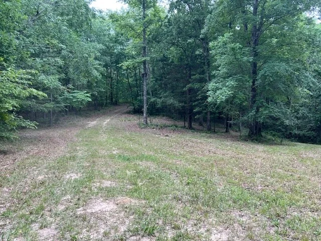Photo of 1090 Brown Mill Rd