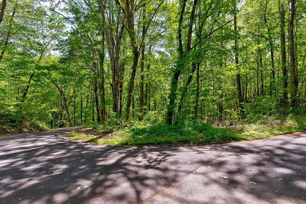 Photo of 1130 Ski View Lane