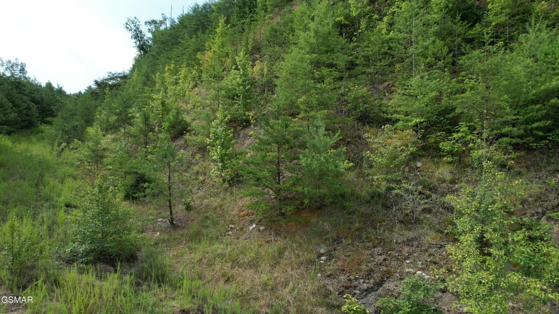 Photo of 3150 Cherokee Valley Drive