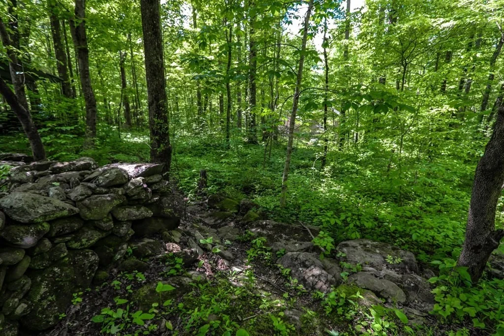 Photo of 836 Cool Way