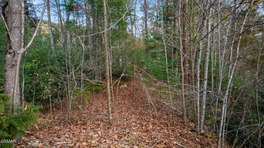 Photo of 4416 Whetstone Road