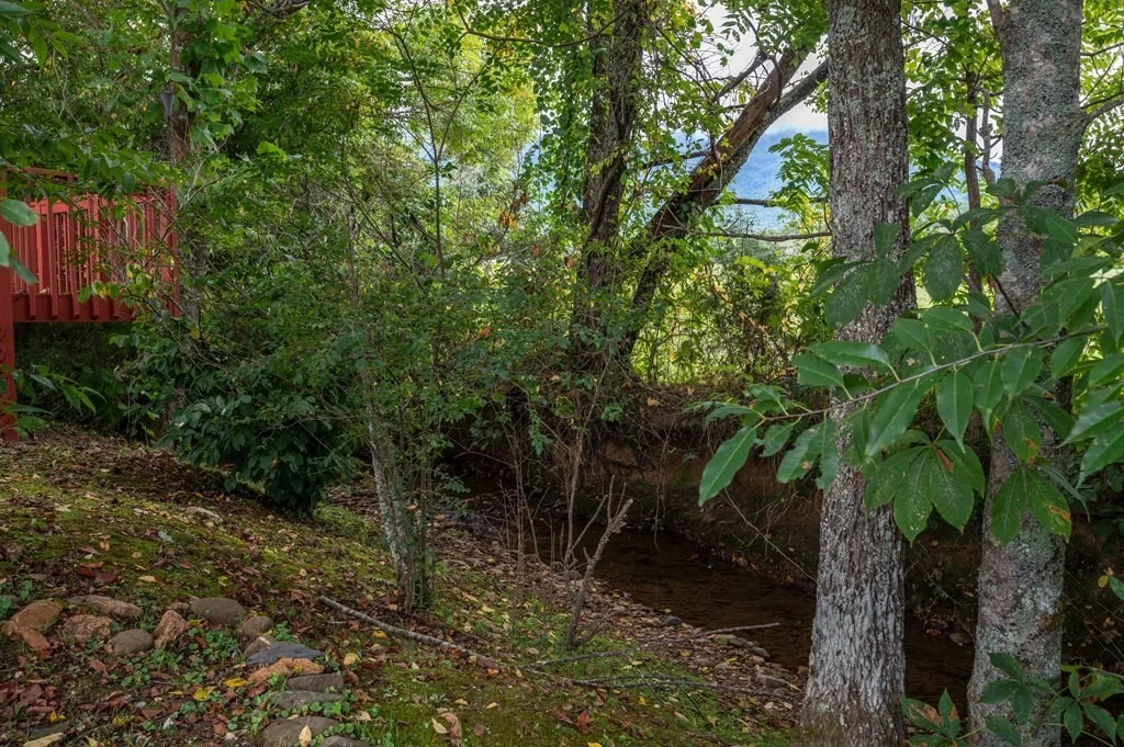 Photo of 2225 Meadowbrook Lane