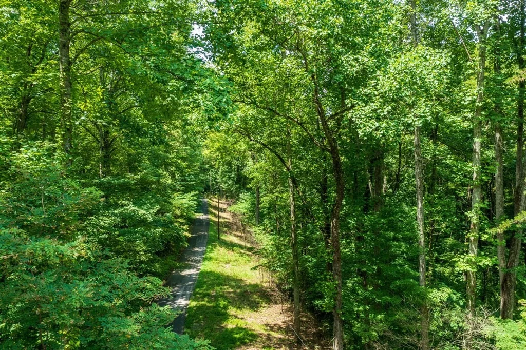 Photo of 1011 Blowing Cave Road