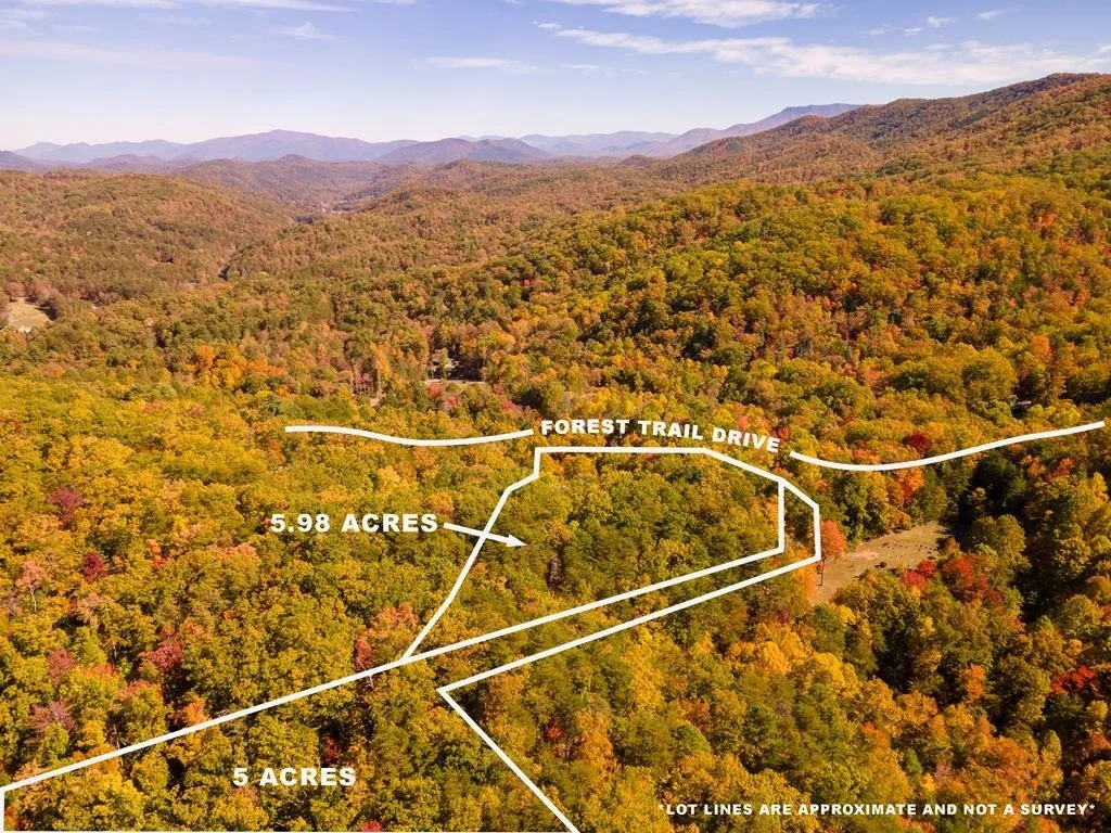 Photo of 3950 Forest Trail Drive