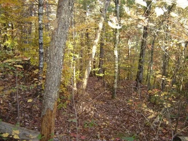 Photo of 138 Anatole Pass