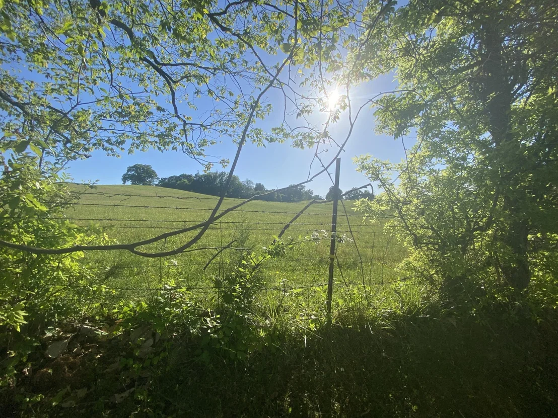 Photo of 2018 Kings View Loop
