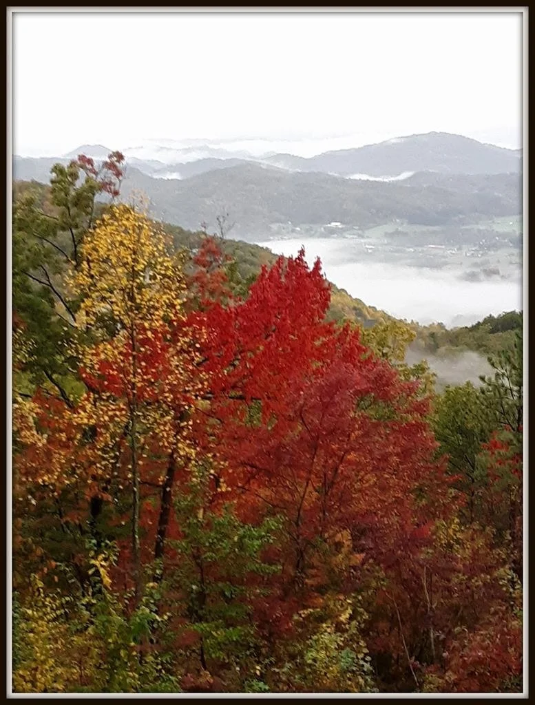 Photo of 3750 COVE MOUNTAIN Road