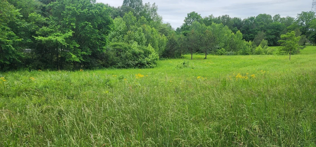 Photo of 3147 Old New Cut Rd