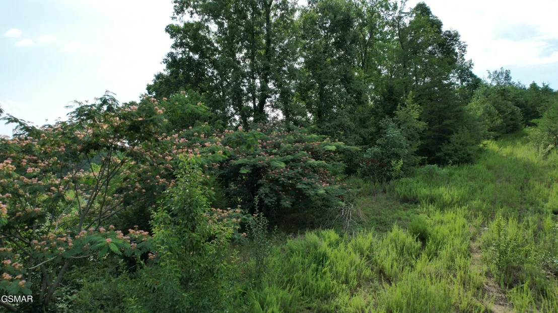Photo of 3150 Cherokee Valley Drive