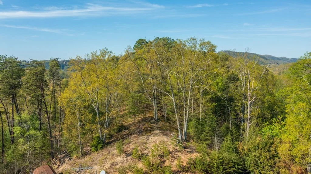 Photo of 2035 Mountain Spring Way