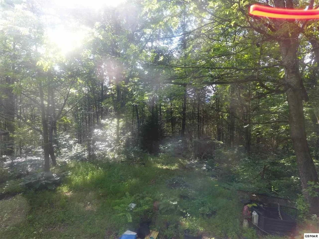 Photo of 3695 Shady Springs Way