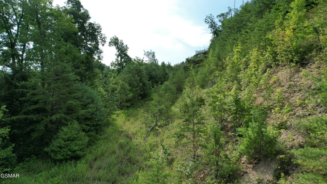 Photo of 3150 Cherokee Valley Drive