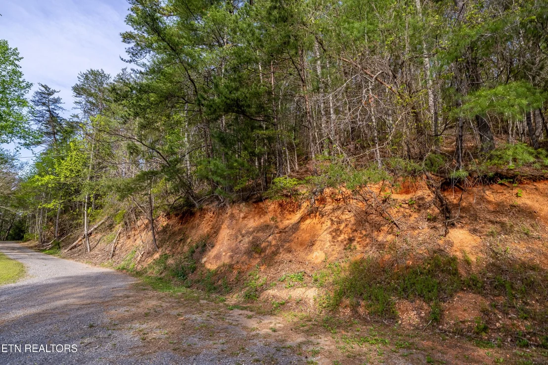 Photo of 240 Mt. Luke Rd