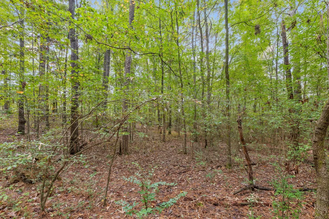 Photo of 0 Carolyn Drive