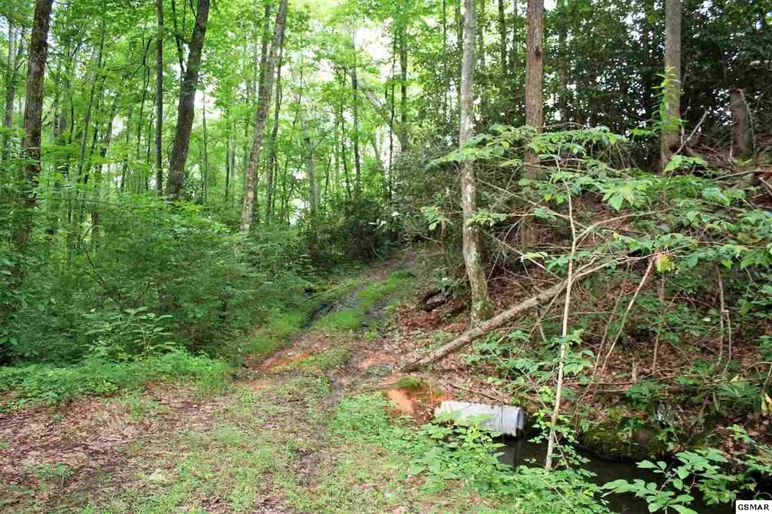 Photo of 0 Off Collier Loop