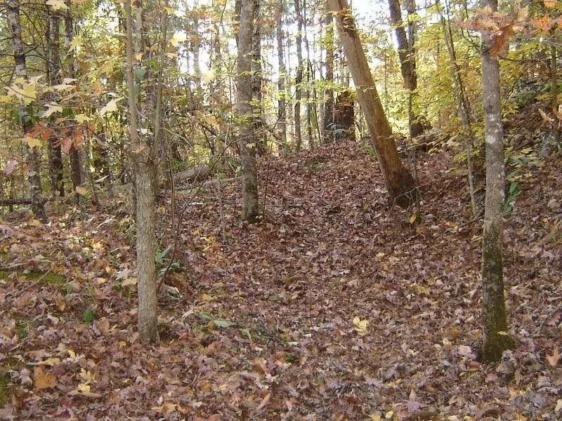 Photo of 138 Anatole Pass